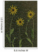 Three Yellow Flowers Wall Mural