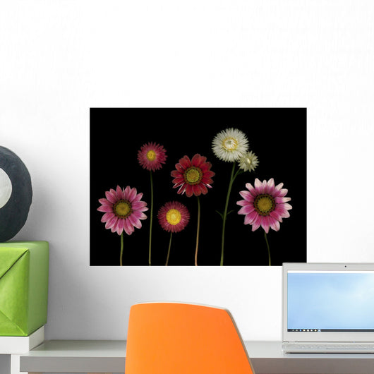 Flowers Wall Mural