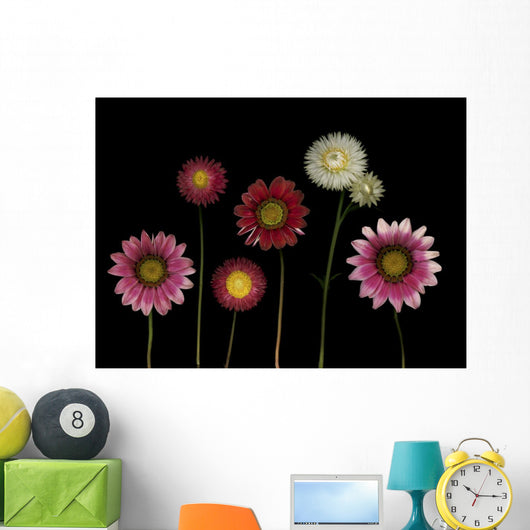 Flowers Wall Mural