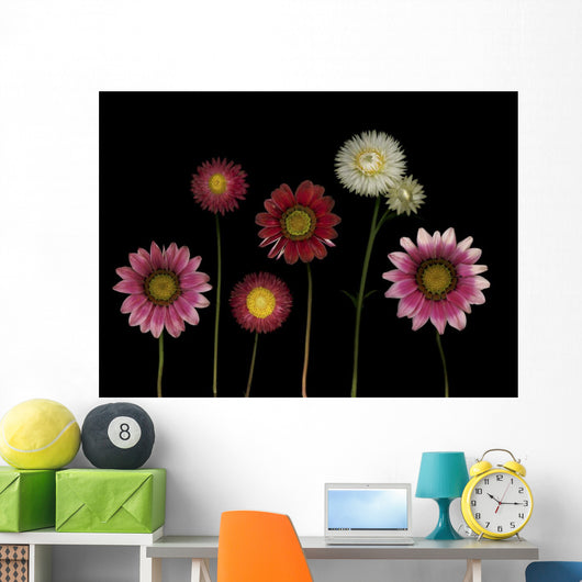 Flowers Wall Mural