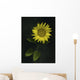 Sunflower Wall Mural
