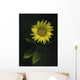 Sunflower Wall Mural
