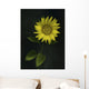 Sunflower Wall Mural