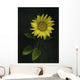 Sunflower Wall Mural