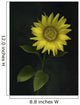 Sunflower Wall Mural