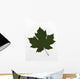 Green Maple Leaf Wall Mural