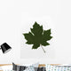 Green Maple Leaf Wall Mural