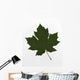 Green Maple Leaf Wall Mural