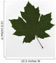 Green Maple Leaf Wall Mural