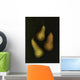 Three Golden Pears Wall Mural