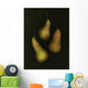 Three Golden Pears Wall Mural