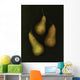 Three Golden Pears Wall Mural