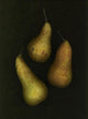 Three Golden Pears Wall Mural