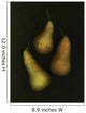 Three Golden Pears Wall Mural