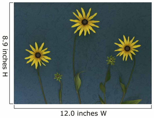 Three Yellow Flowers Wall Mural