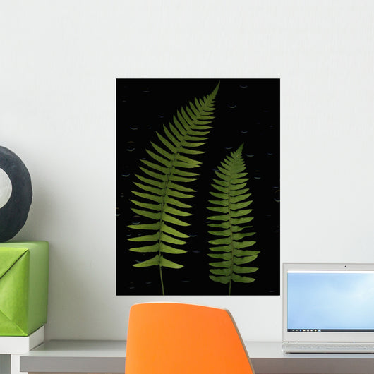 Fern Leaves With Water Droplets Wall Mural