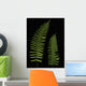 Fern Leaves With Water Droplets Wall Mural