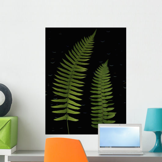 Fern Leaves With Water Droplets Wall Mural