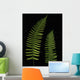 Fern Leaves With Water Droplets Wall Mural