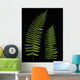 Fern Leaves With Water Droplets Wall Mural