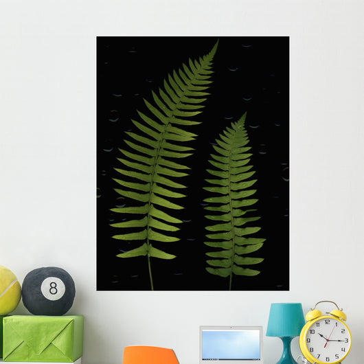Fern Leaves With Water Droplets Wall Mural