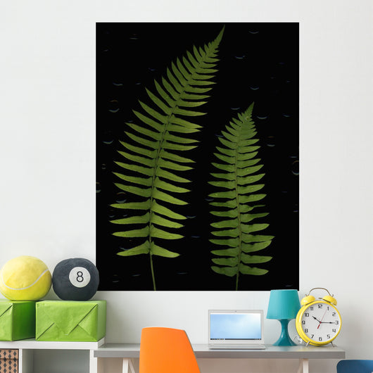 Fern Leaves With Water Droplets Wall Mural