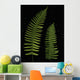 Fern Leaves With Water Droplets Wall Mural