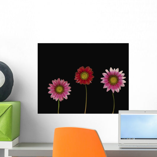 Bright Colorful Daisies Wall Mural