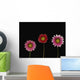 Bright Colorful Daisies Wall Mural