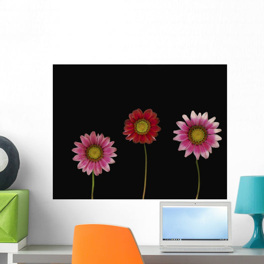 Bright Colorful Daisies Wall Mural