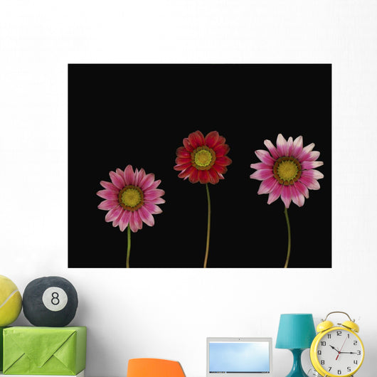 Bright Colorful Daisies Wall Mural