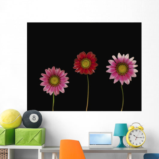 Bright Colorful Daisies Wall Mural