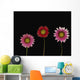 Bright Colorful Daisies Wall Mural