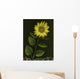 Sunflower With Rocks Wall Mural