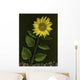 Sunflower With Rocks Wall Mural