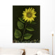 Sunflower With Rocks Wall Mural