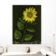 Sunflower With Rocks Wall Mural
