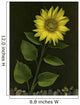 Sunflower With Rocks Wall Mural
