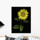 Sunflower Wall Mural