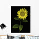 Sunflower Wall Mural