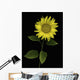 Sunflower Wall Mural