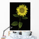 Sunflower Wall Mural