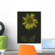 Sunflower Wall Mural