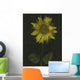 Sunflower Wall Mural