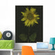 Sunflower Wall Mural