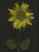 Sunflower Wall Mural