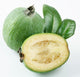 Feijoa on a white background Wall Decal