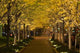 Night Yellow Alley Wall Decal