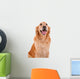 Chien Golden Retriever Wall Decal