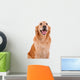 chien golden retriever Wall Decal